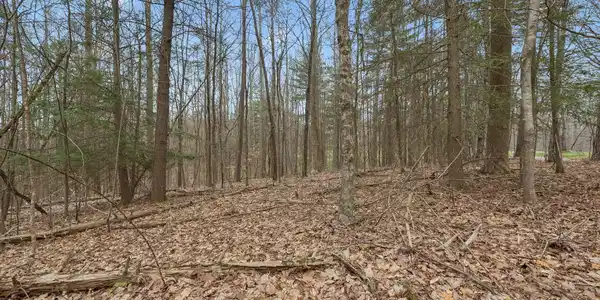 Image 4: 3-8 Long Mountain Trail - 003