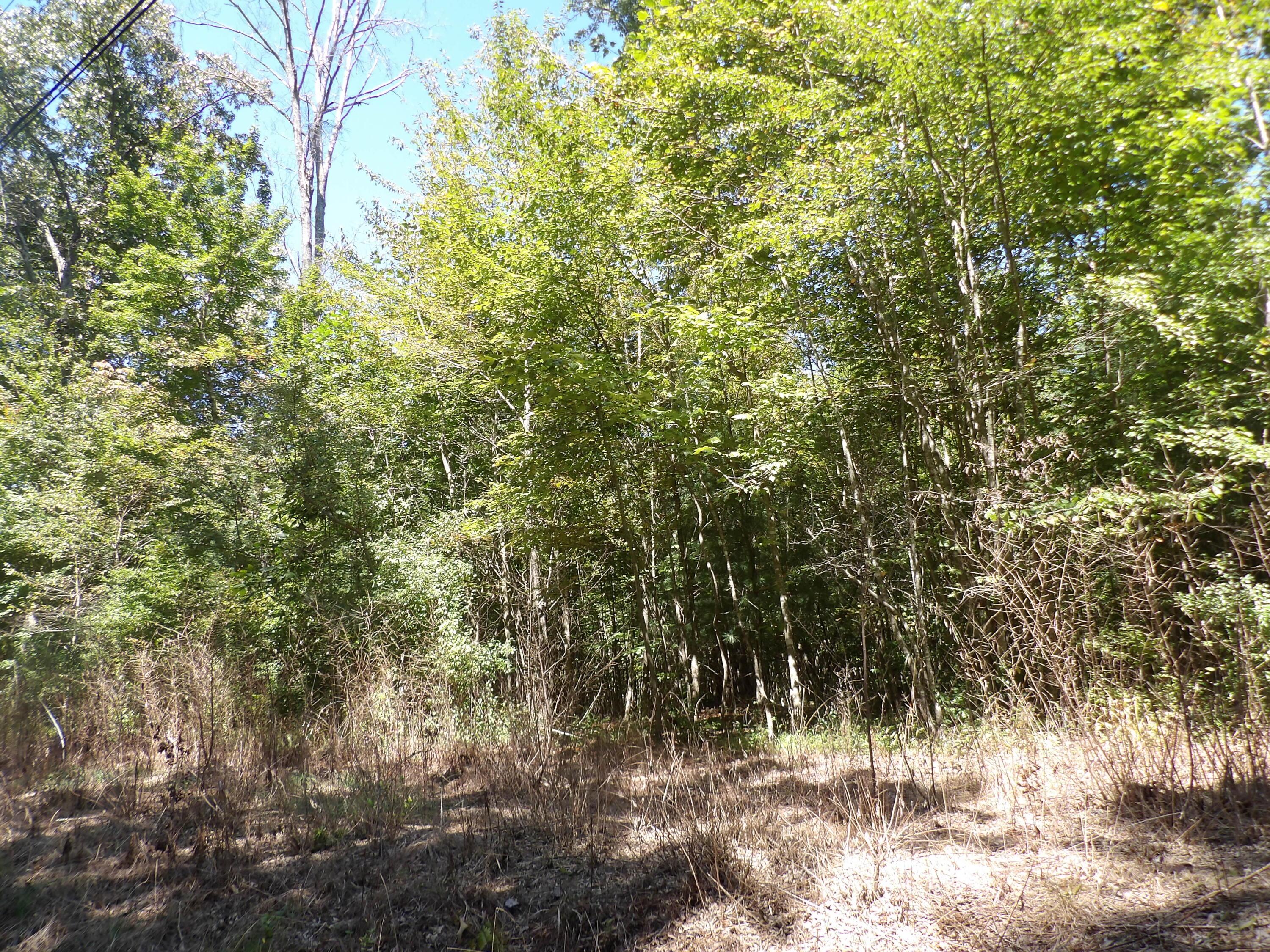 Image 4: 100_1929