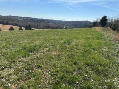 90+/-Acres Old Rhea Spring Road