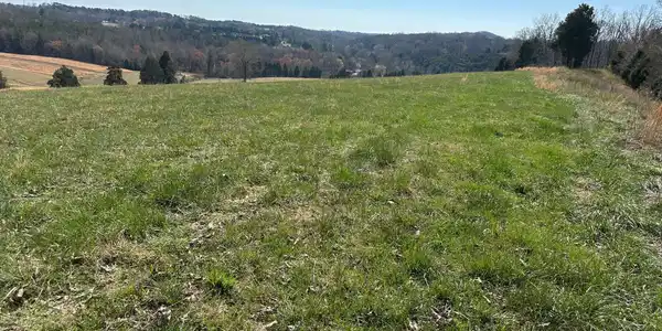 90+/-Acres Old Rhea Spring Road
