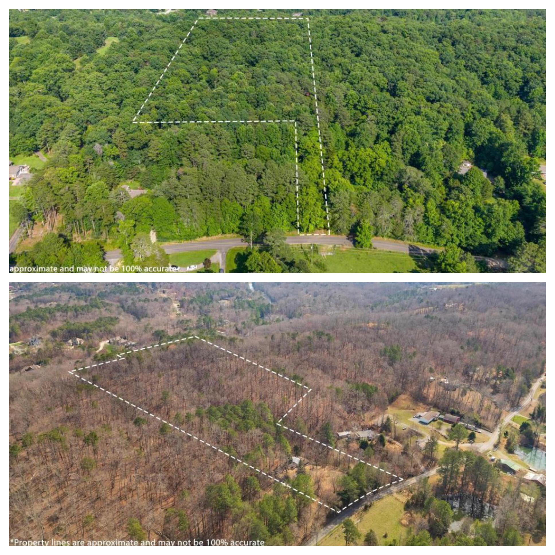 Image 1: Both Lots