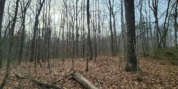 0 Hickory Hollow Sub Road