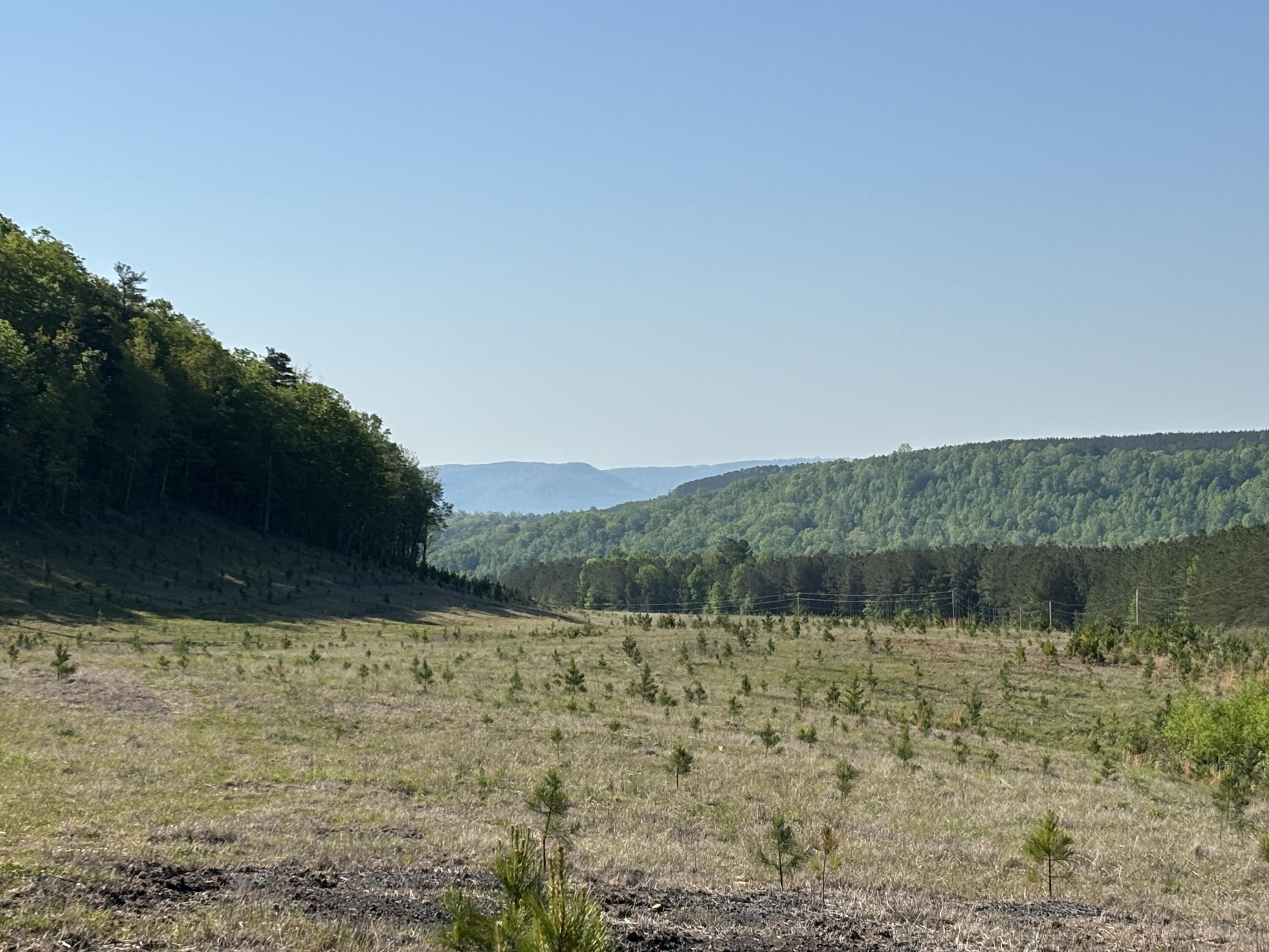 Image 1: Photo Apr 23 2026, 10 03 55 AM