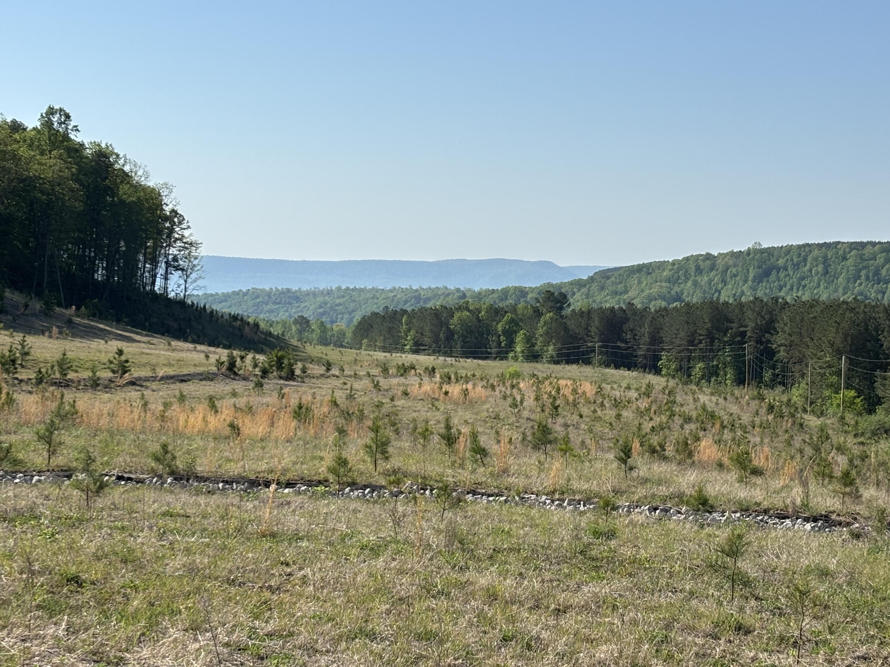 Image 2: Photo Apr 23 2026, 10 05 31 AM