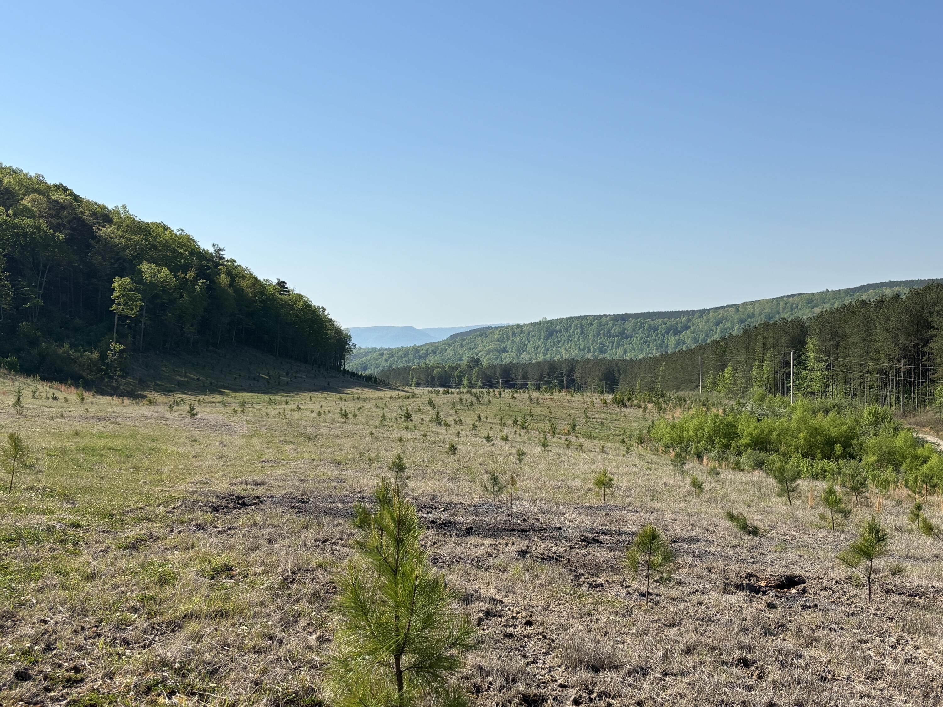 Image 3: Photo Apr 23 2026, 10 03 52 AM