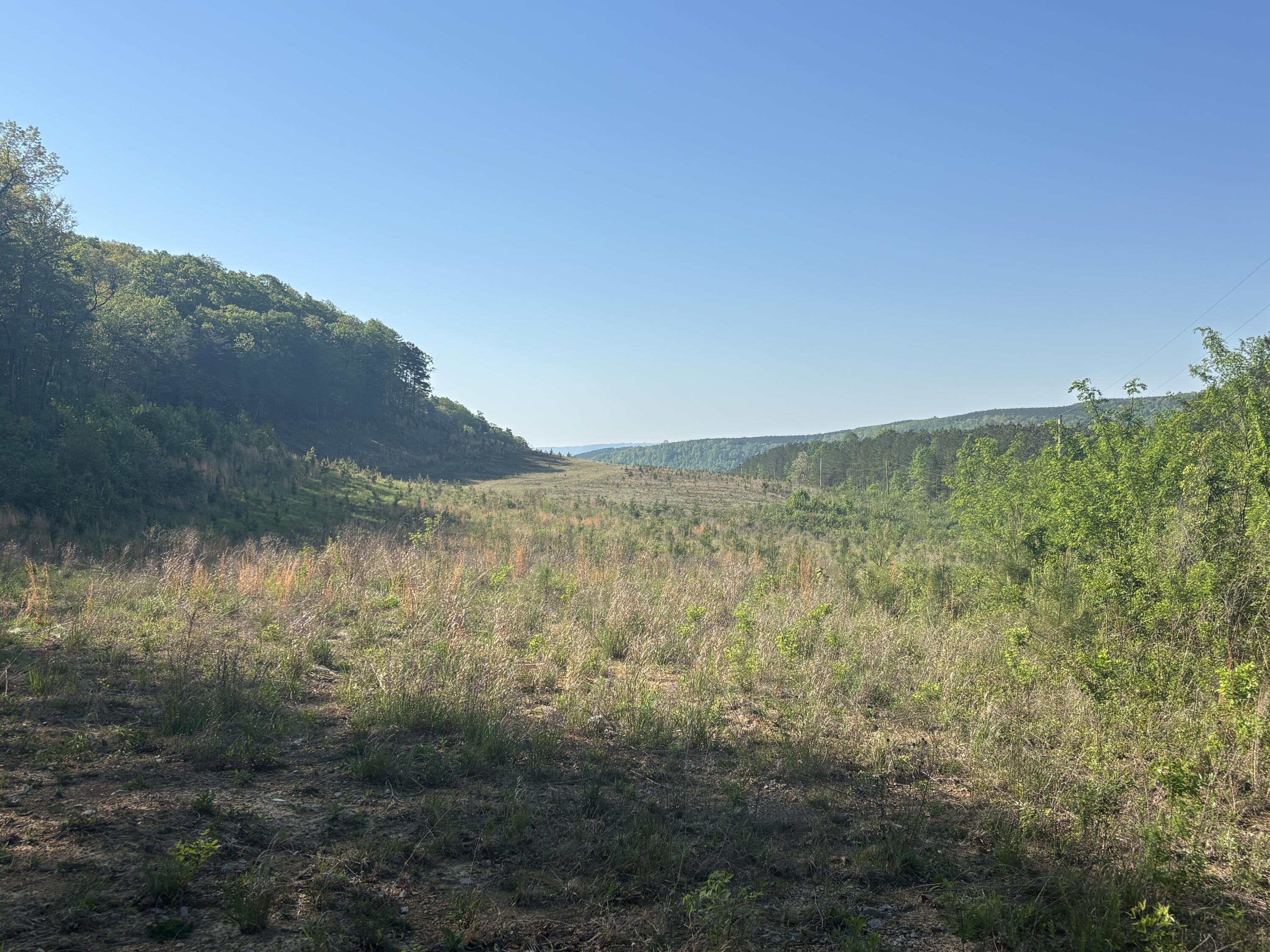 Image 4: Photo Apr 23 2026, 9 49 45 AM