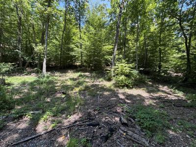 0 Deer Ridge Estates Road