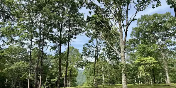 Lot 4 Hobbstown Road