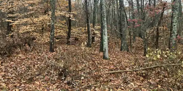 5 Timber Ridge