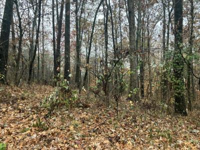 4 Timber Ridge