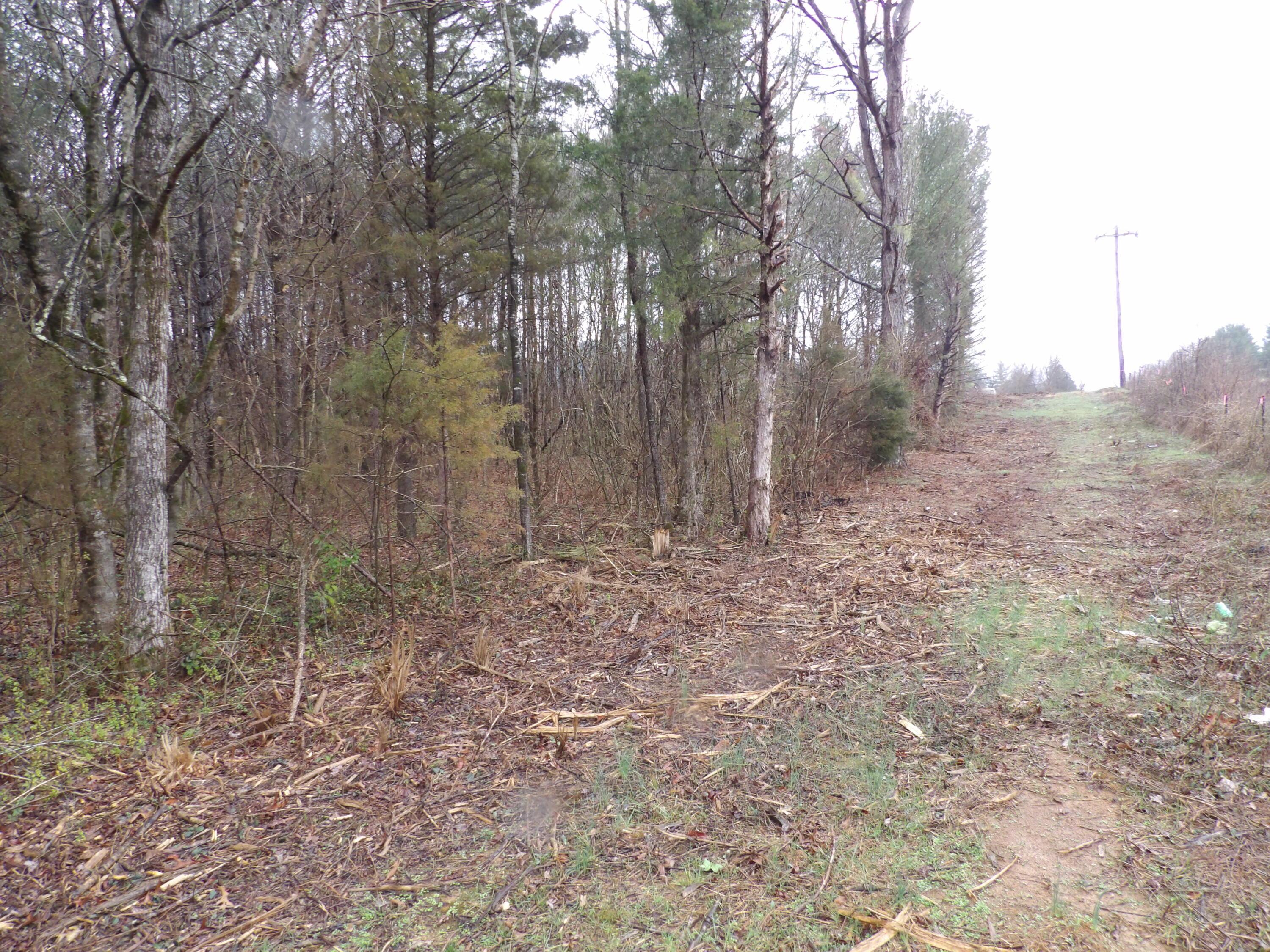 Image 3: 100_0112