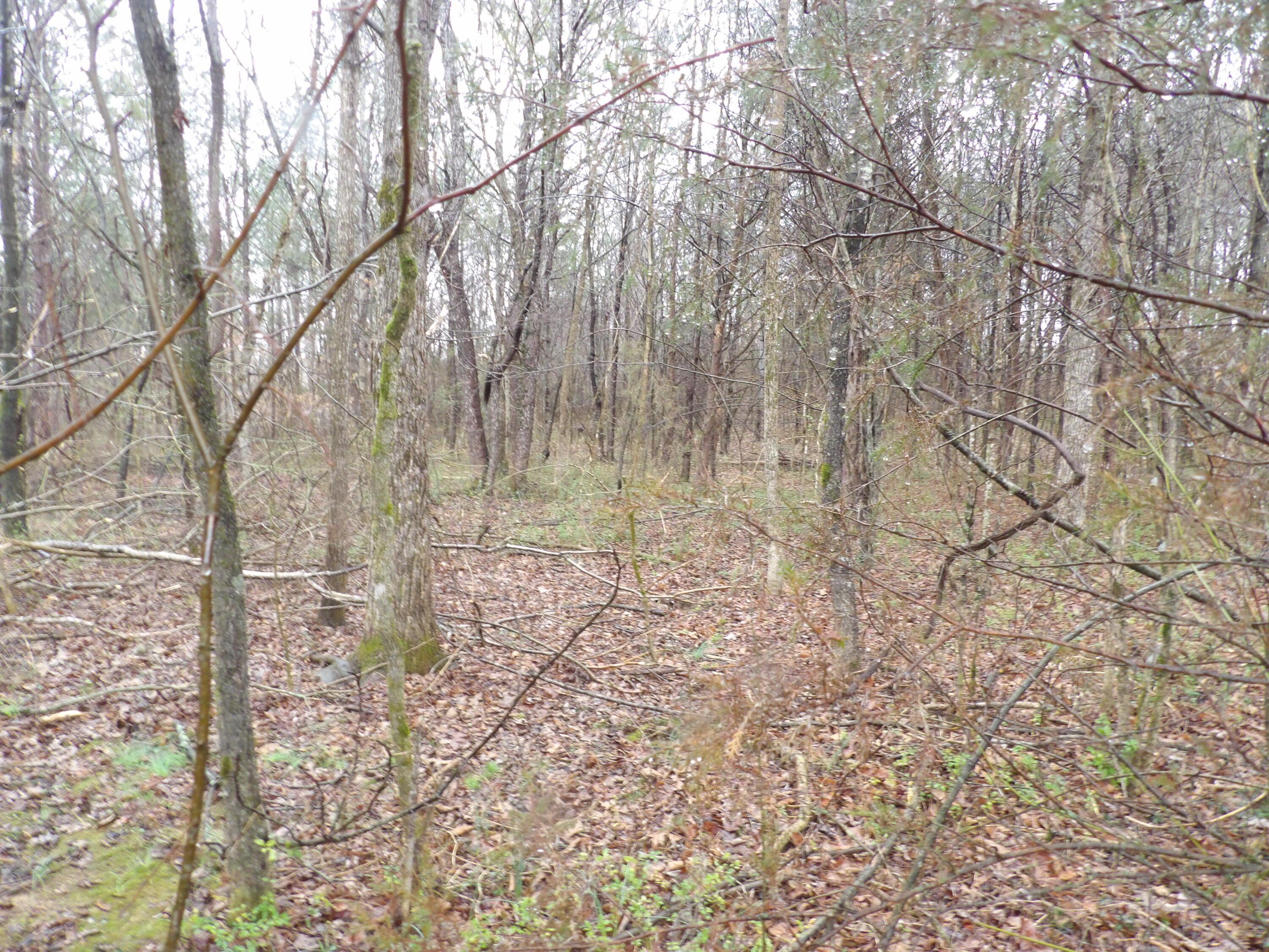 Image 4: 100_0113