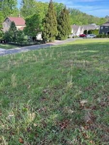 Lot 12 Ridge Park Drive NE
