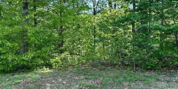 Image 2: Ridge Park 1