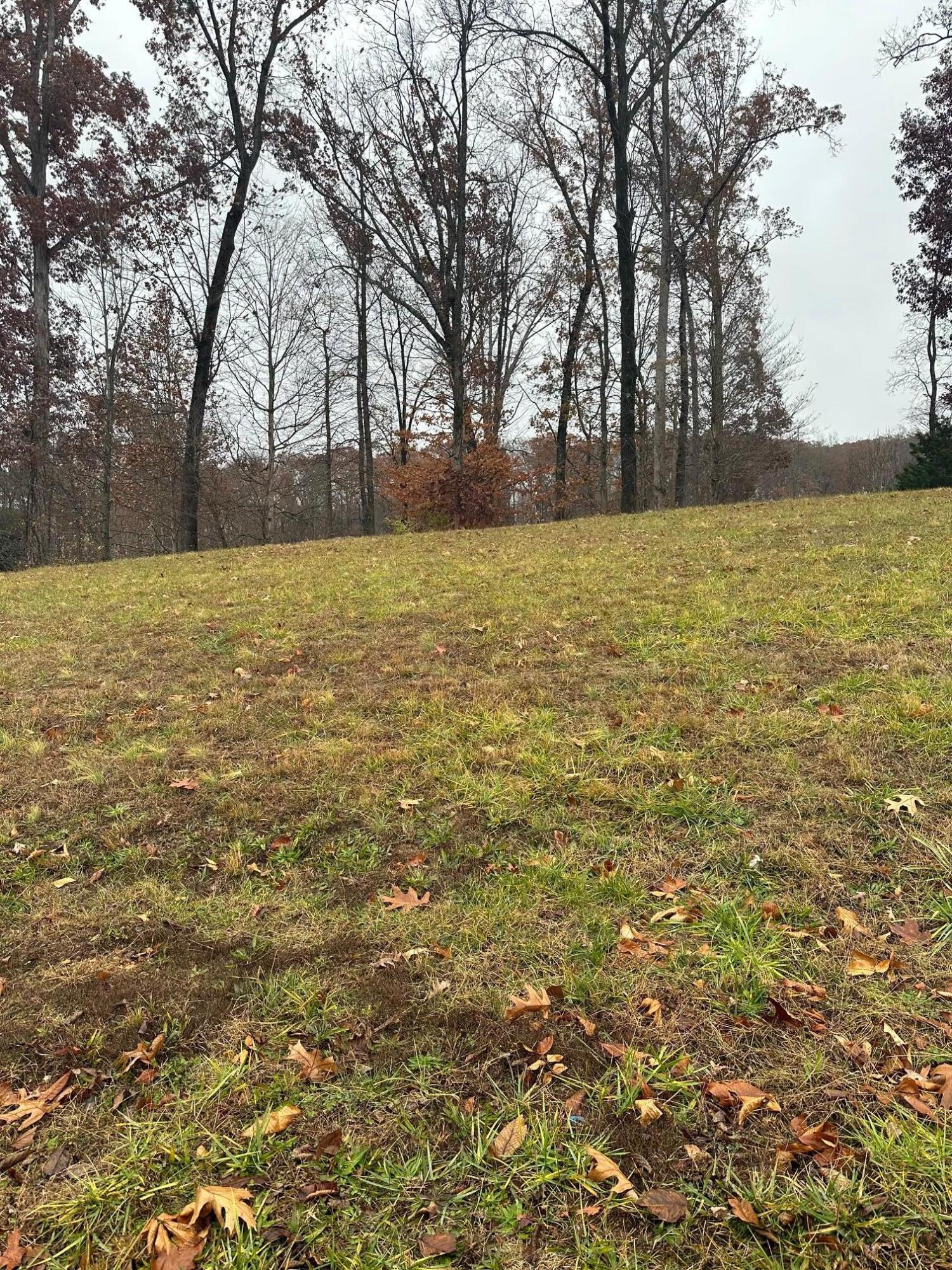 Image 4: rp2