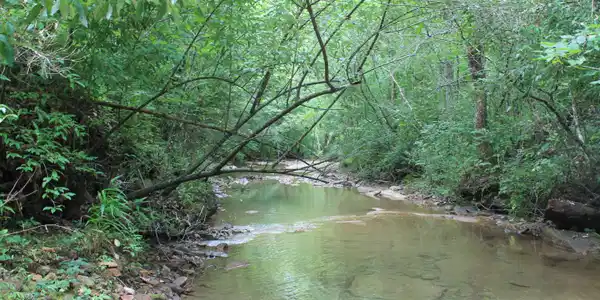 Image 4: Creek 3 (2)