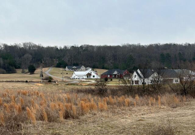 Image 3: IMG_3799