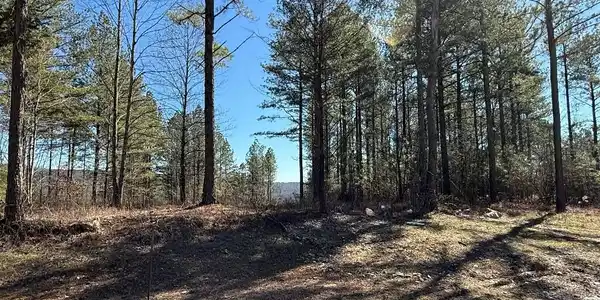 1375 Split Rail Way
