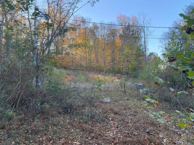 135 David Brown Road