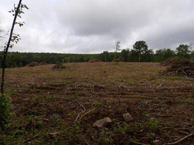 Lot 8 Hughes Road