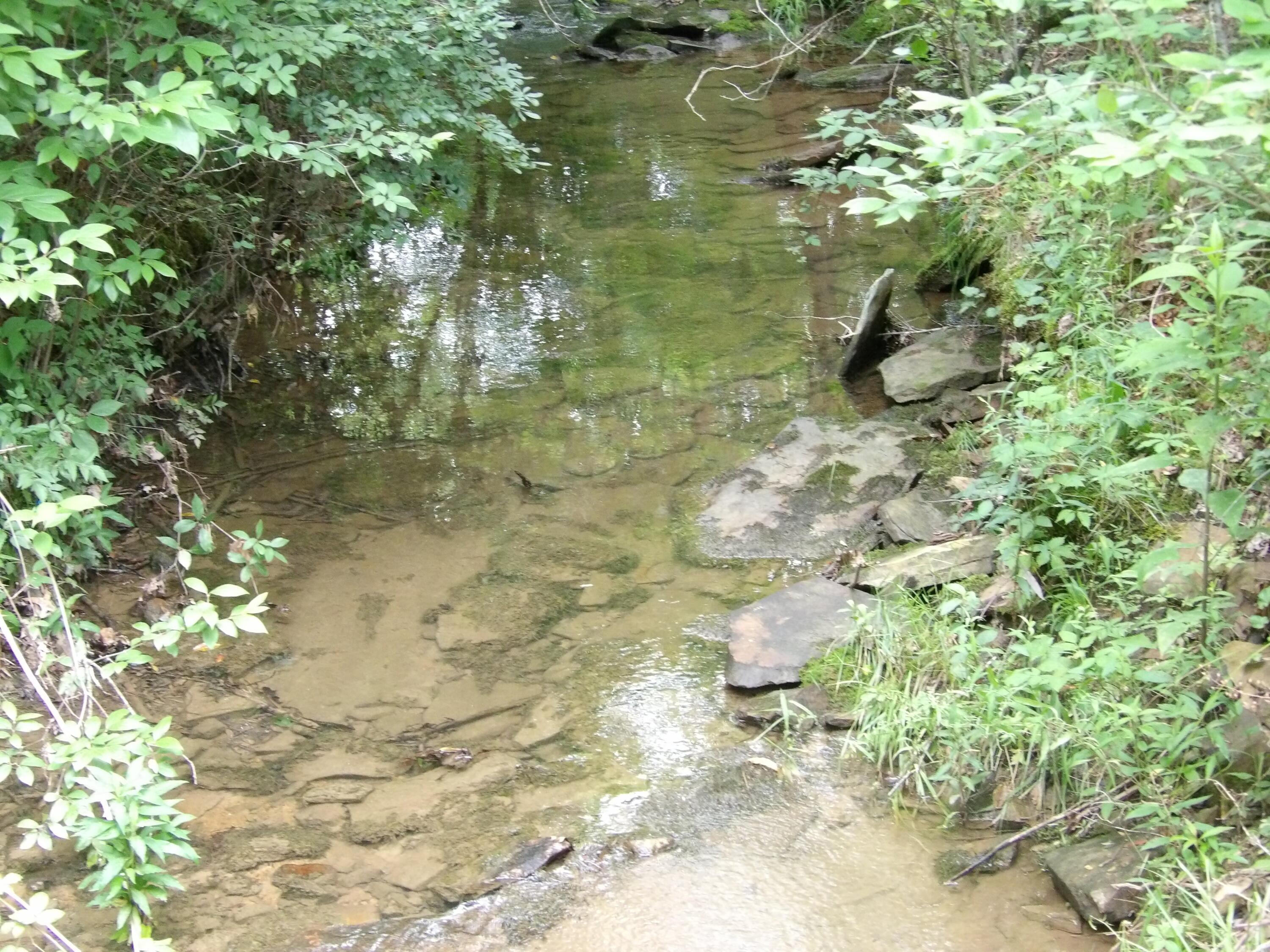 Image 2: 100_1544