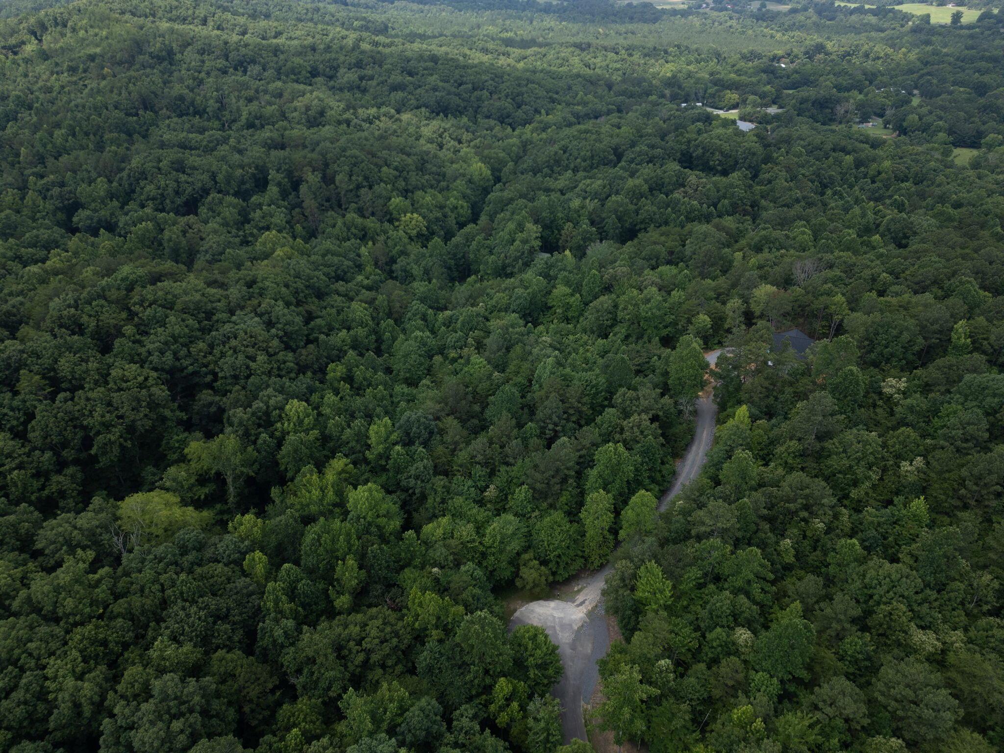 Image 1: 1-web-or-mls-Dogwood Hollow Lane-Dustin