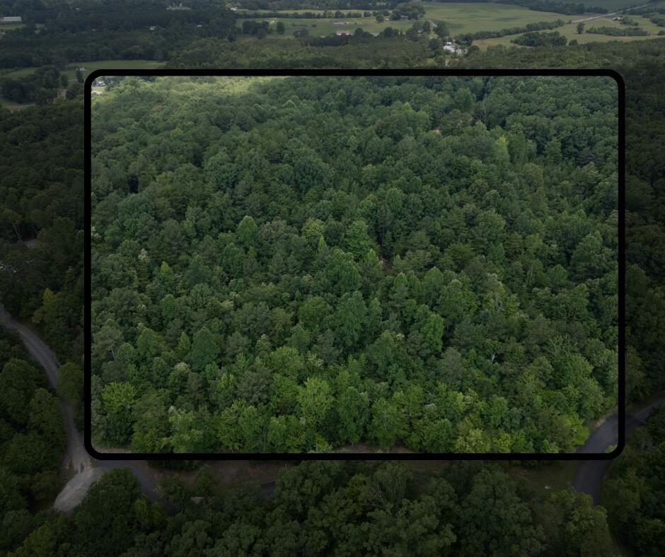 Image 4: Copy of REO PRoperty