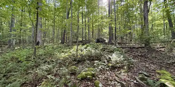 00 Walker Branch Road