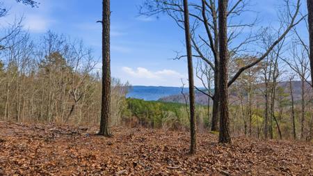 Lot 2154 Fallen Oak Pass