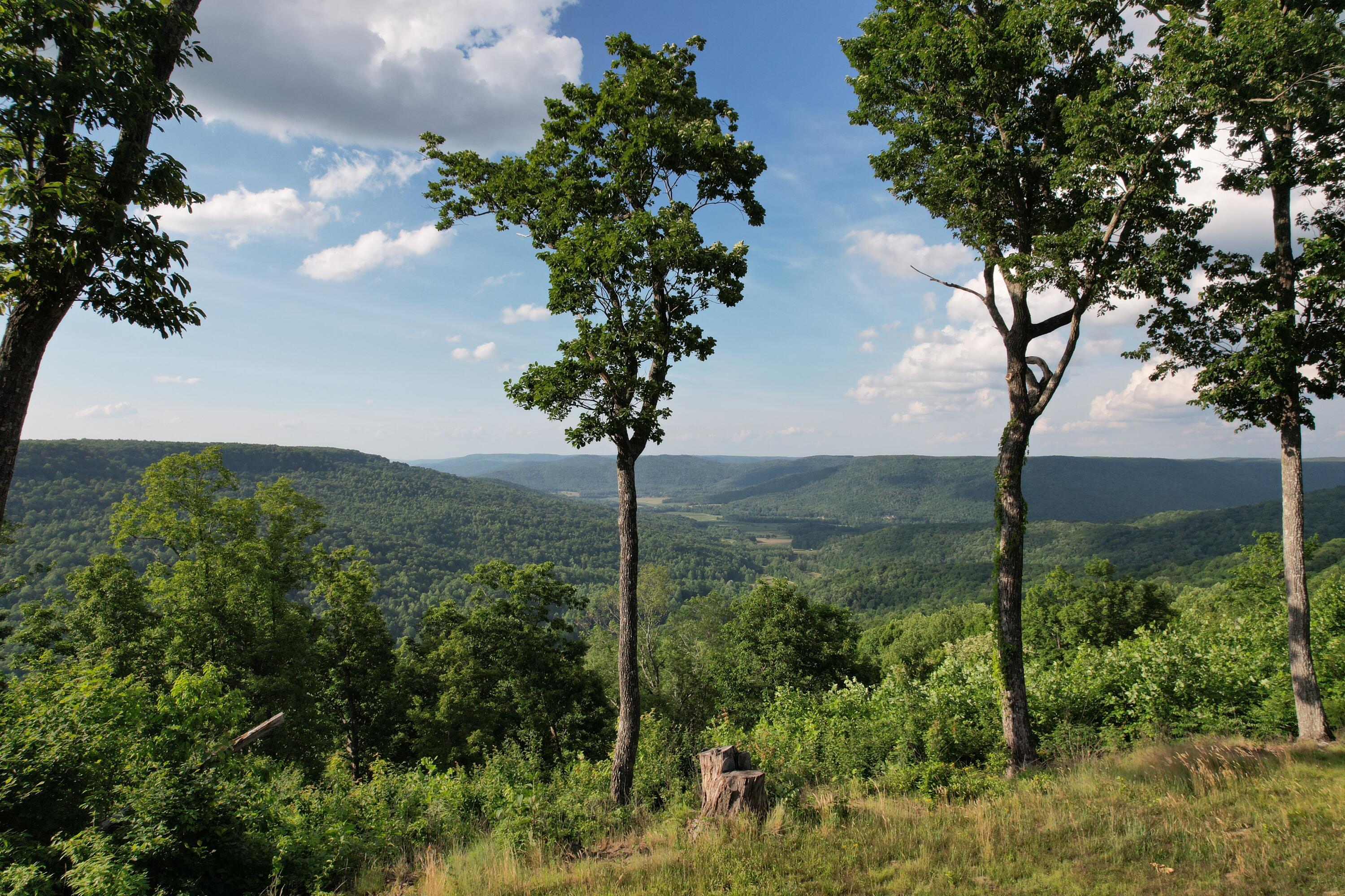 Image 3: views