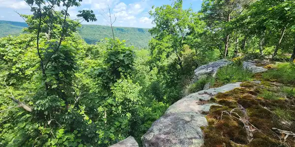 0 Roth Point Road