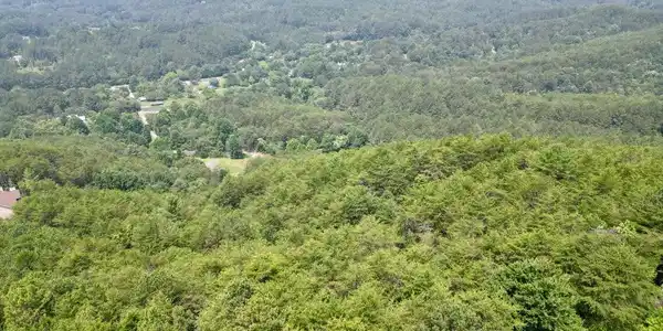 Image 3: 20250505163903273918000000-o