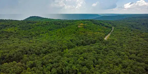 00 Jackson Point Road