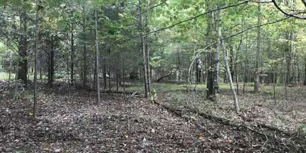 57 Deer Point Drive