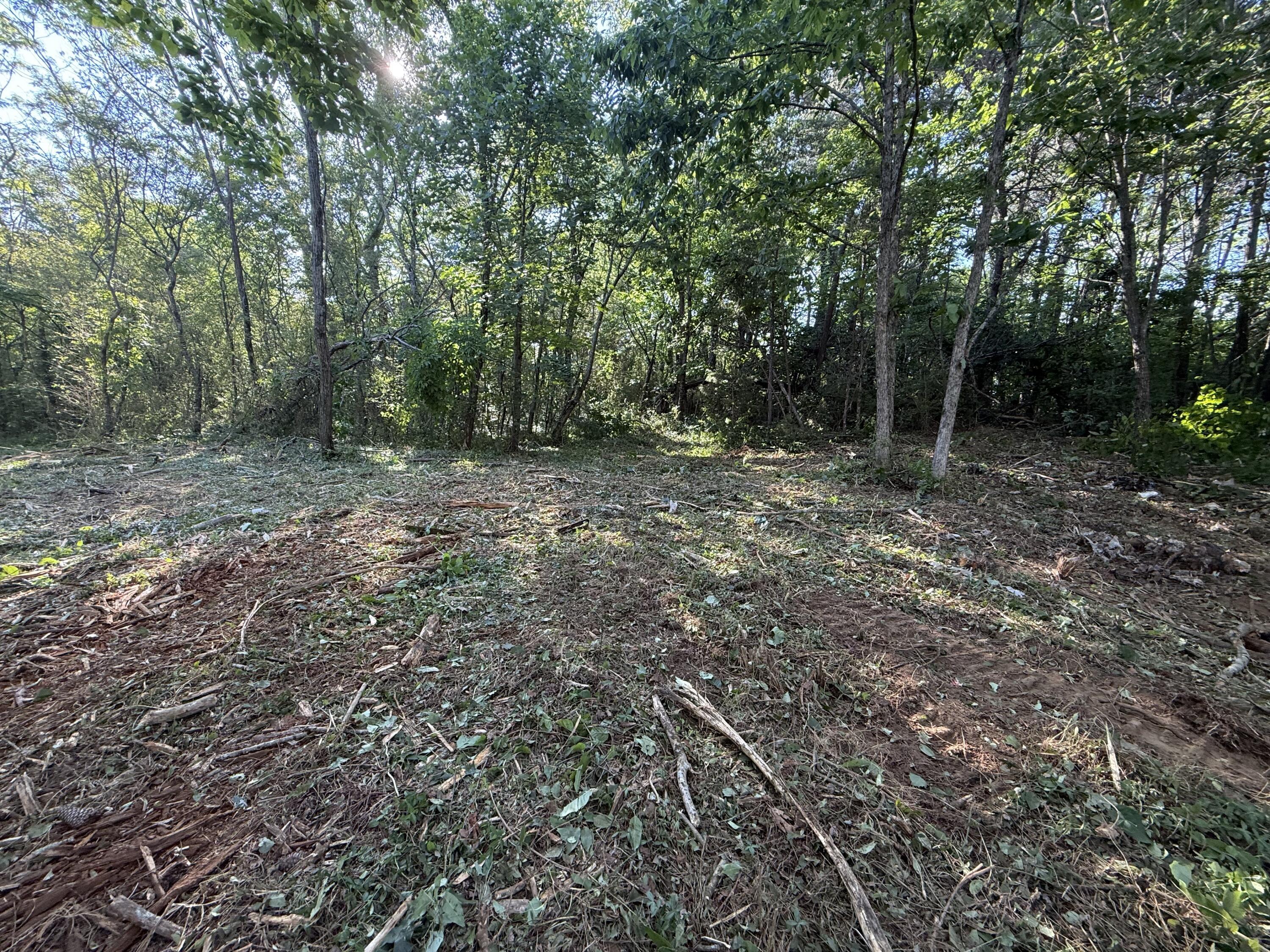 Image 3: IMG_6459