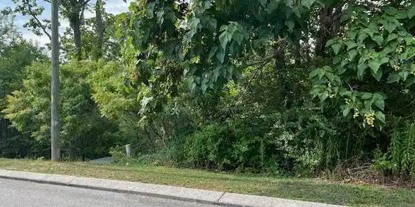 2118+2112 Short Leaf Lane