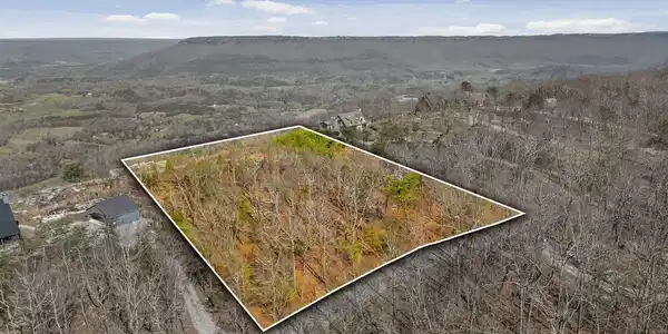 Image 2: W Bluff Overlay-1