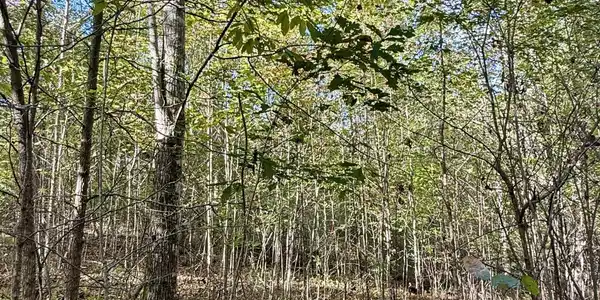 0 Owl Hollow Road