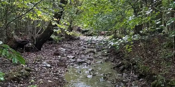 Tract 13 Saw Mill Road