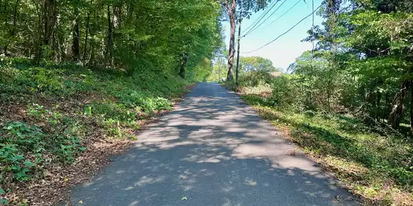 0 Chickamauga Avenue