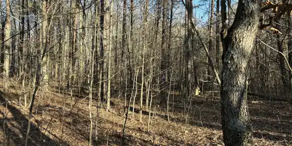 3 Timber Ridge Drive