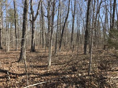 3 Deerhead Road