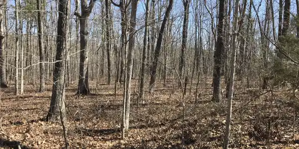 3 Deerhead Road