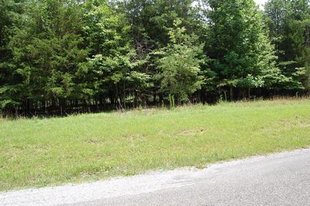 36 Stone Creek Trail