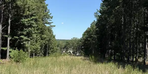 1080 Crockett Loop