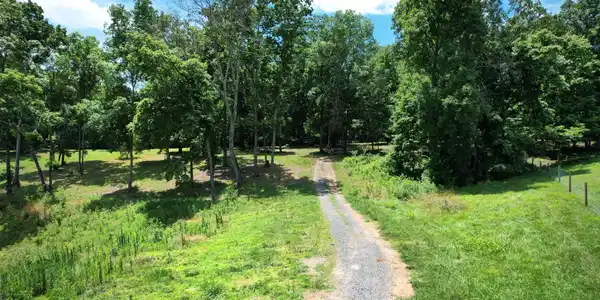 Image 2: 13-web-or-mls-DJI_0934