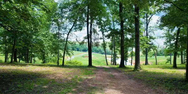 Image 4: 15-web-or-mls-DJI_0936