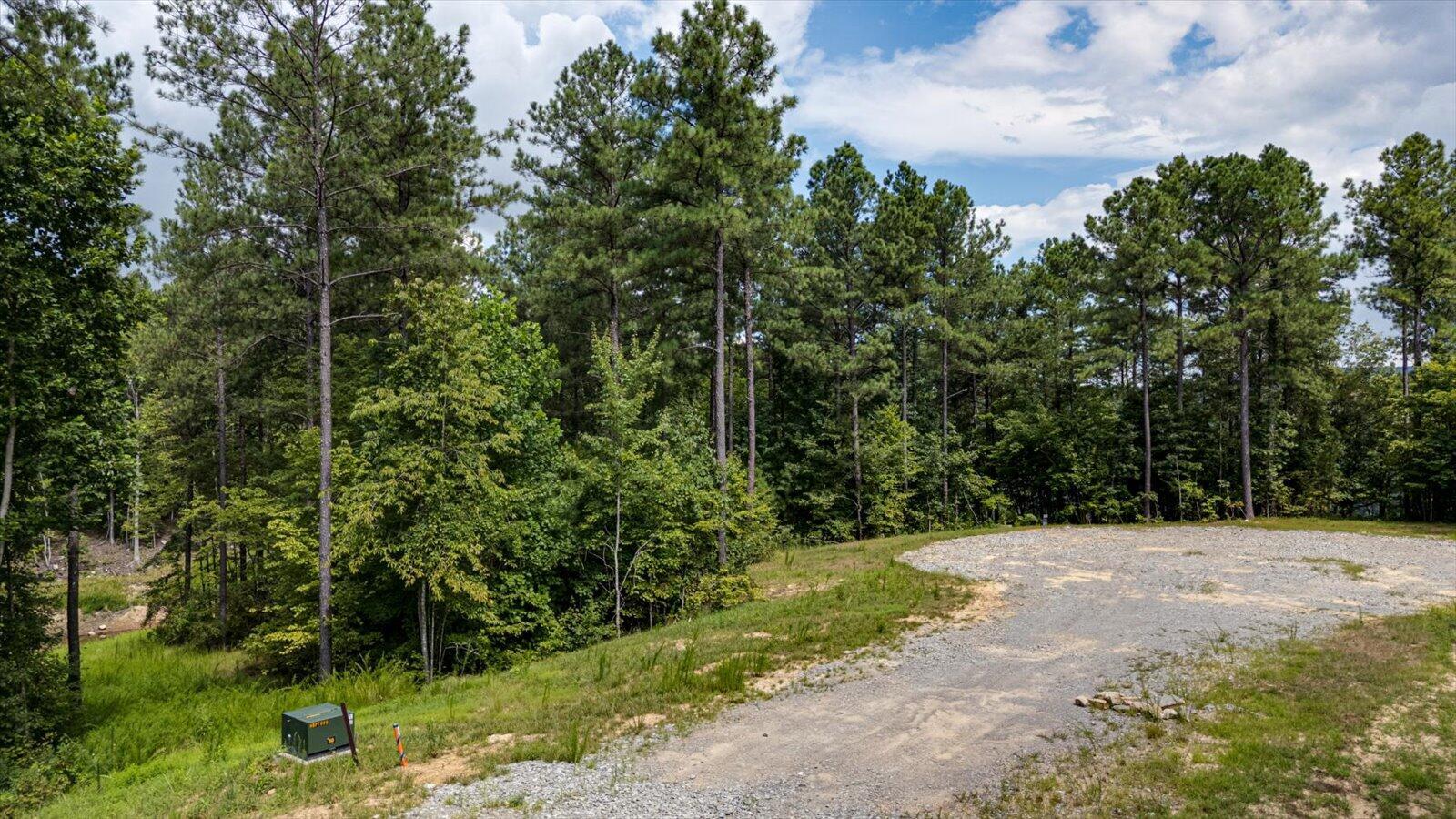 Image 4: 01-0 Farm Rd lot 1047-1