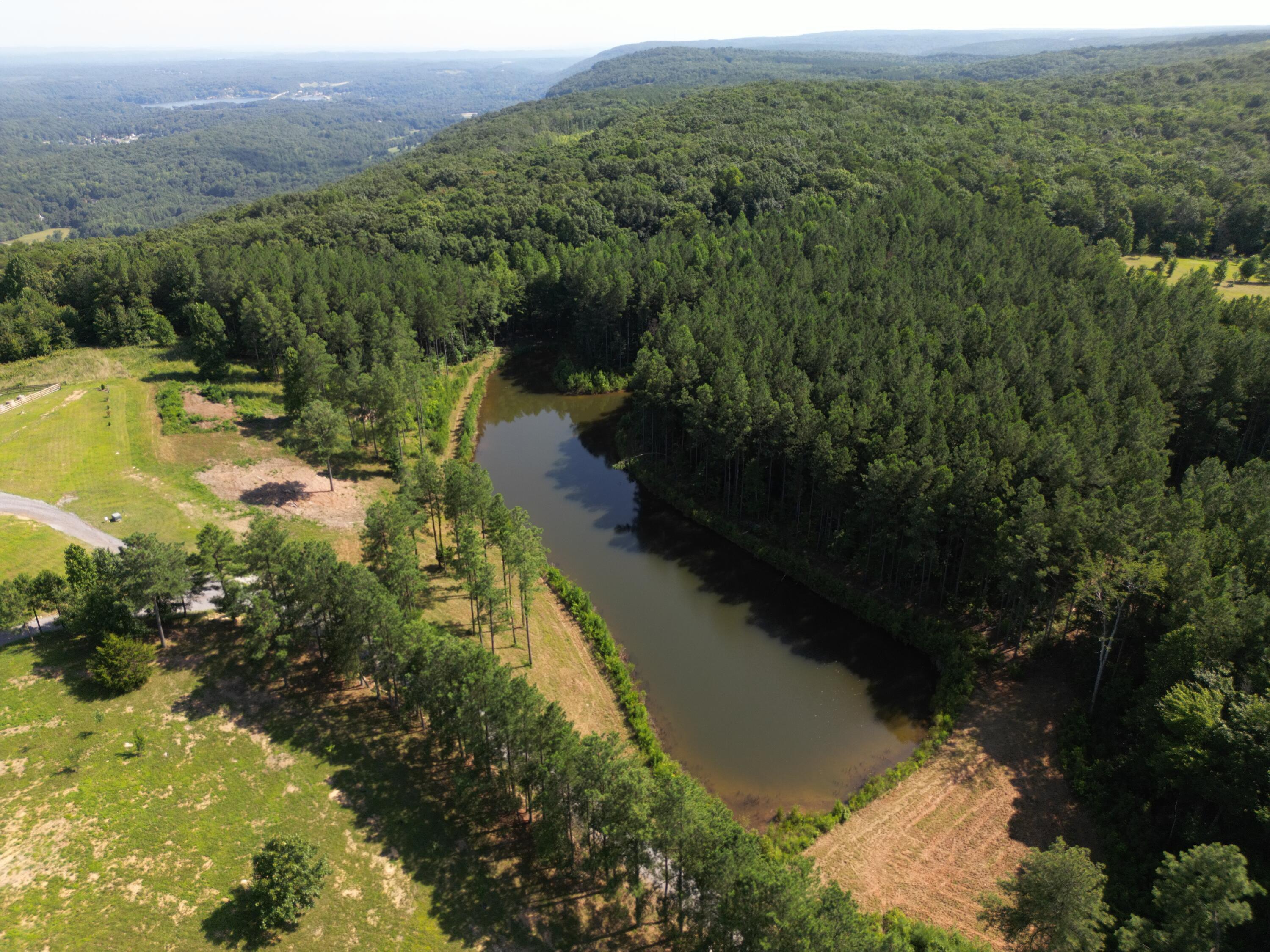 Image 2: Aerial