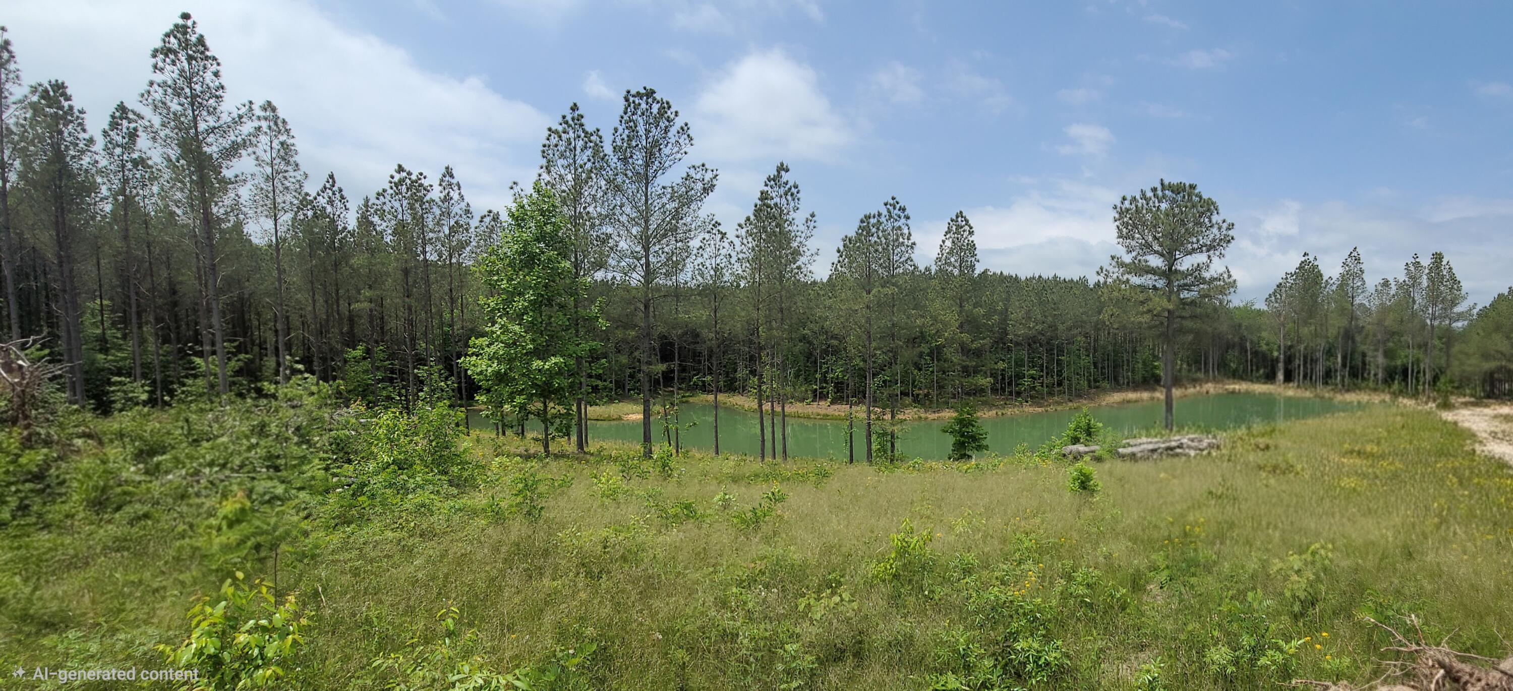 Image 3: Pond